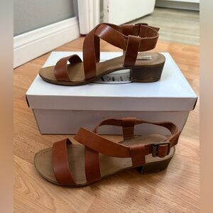 Steve Madden shoes